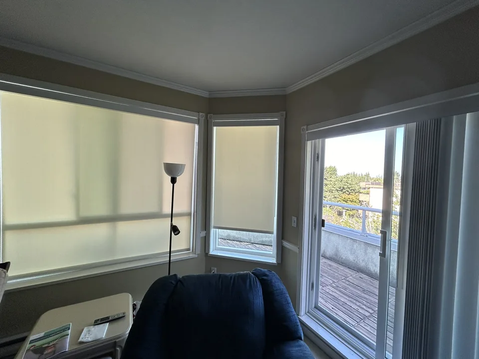 Window shades from AAA Blinds motorized product photo collection