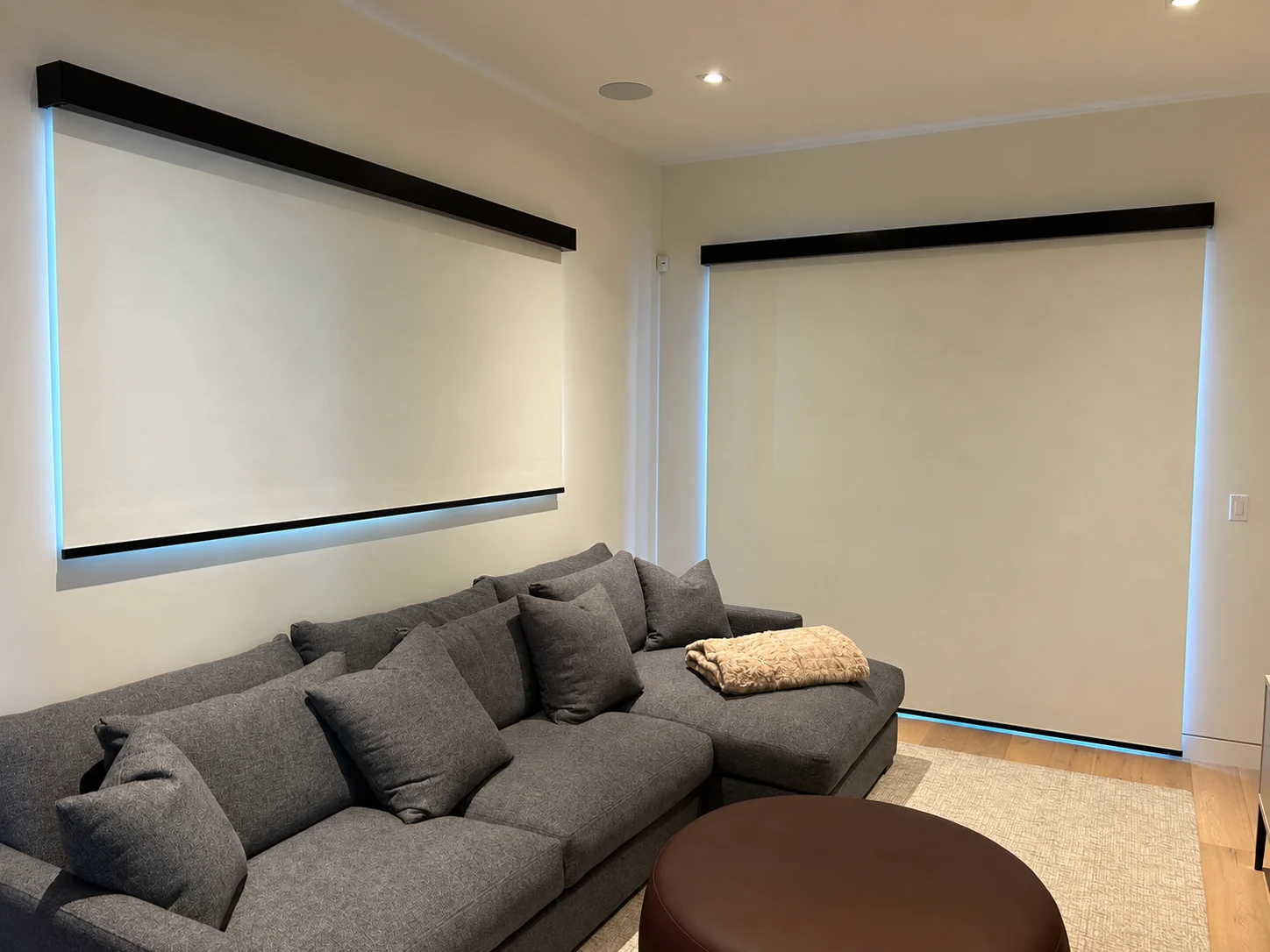 Custom roller shades in a contemporary lounge from the AAA Blinds photo library