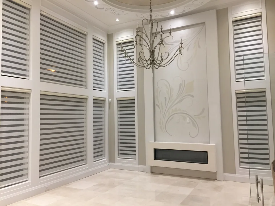 Zebra shades from the AAA Blinds photo library